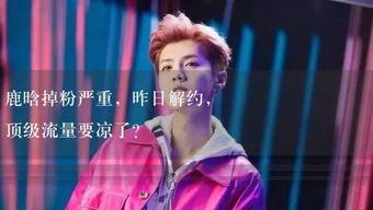 娱乐吃瓜君干了什么,揭秘娱乐圈背后的那些事儿  第3张