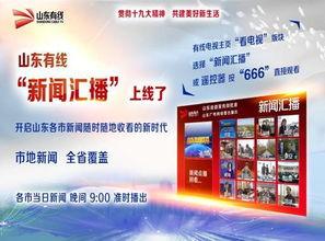 山东泰安新闻爆料平台,聚焦民生热点，揭示社会动态  第1张