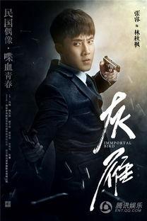 灰雁电视剧在线观看,揭秘神秘组织背后的爱恨情仇  第1张