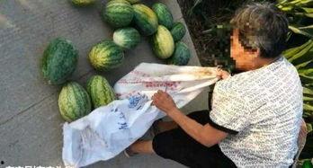 新沂新瓜最新爆料视频,最新爆料内容大起底  第1张