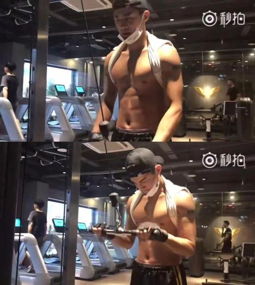 独家爆料健身视频完整版,健身达人完整版视频教程，助你高效塑形！